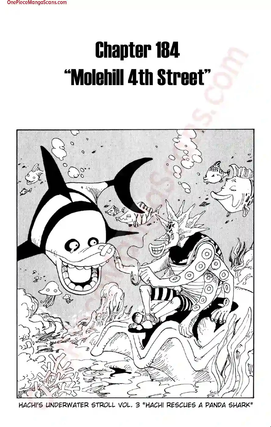 Chapter 184: Moletown Block Four 1 one-piece-chapter-184