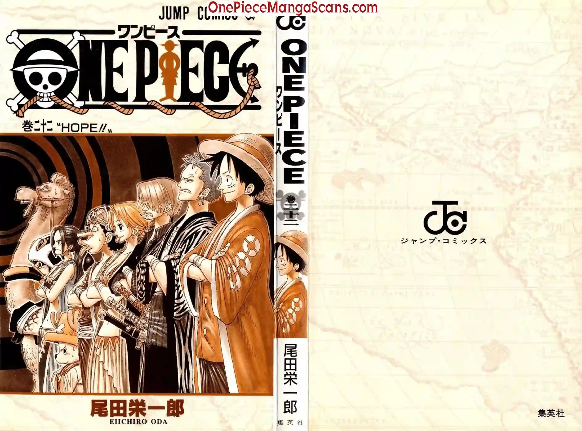 one-piece-chapter-196-2