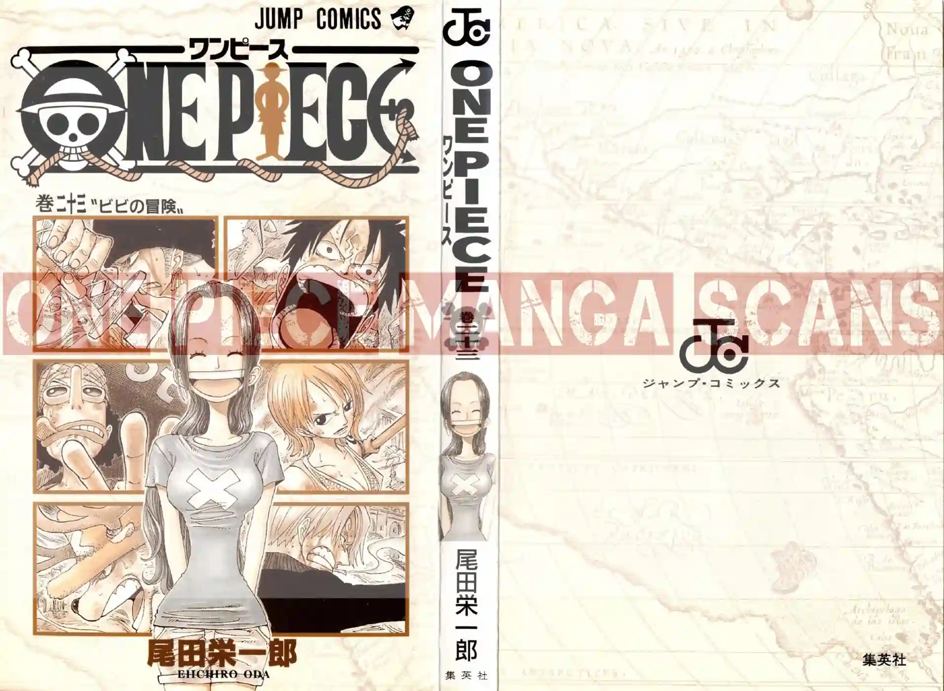 one-piece-chapter-206-2