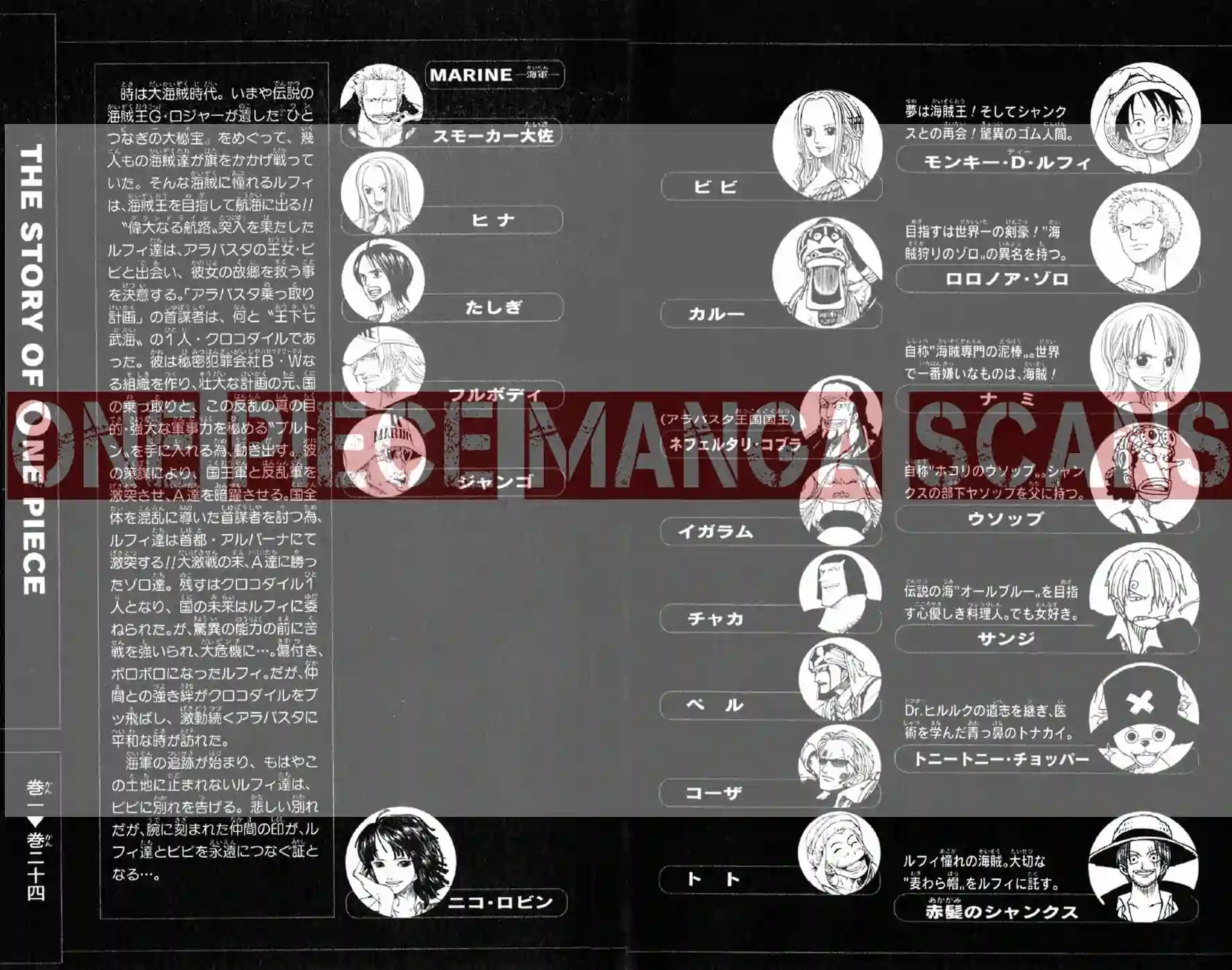 Chapter 217: Stowaway 4 one-piece-chapter-217-3