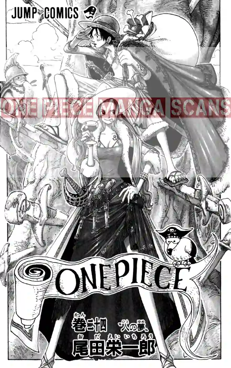 Chapter 217: Stowaway 5 one-piece-chapter-217-4