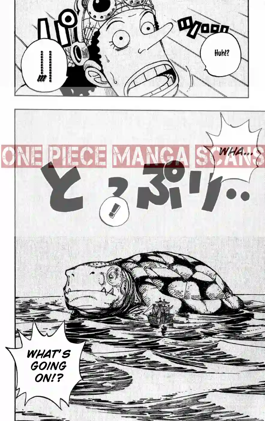one-piece-chapter-221-08