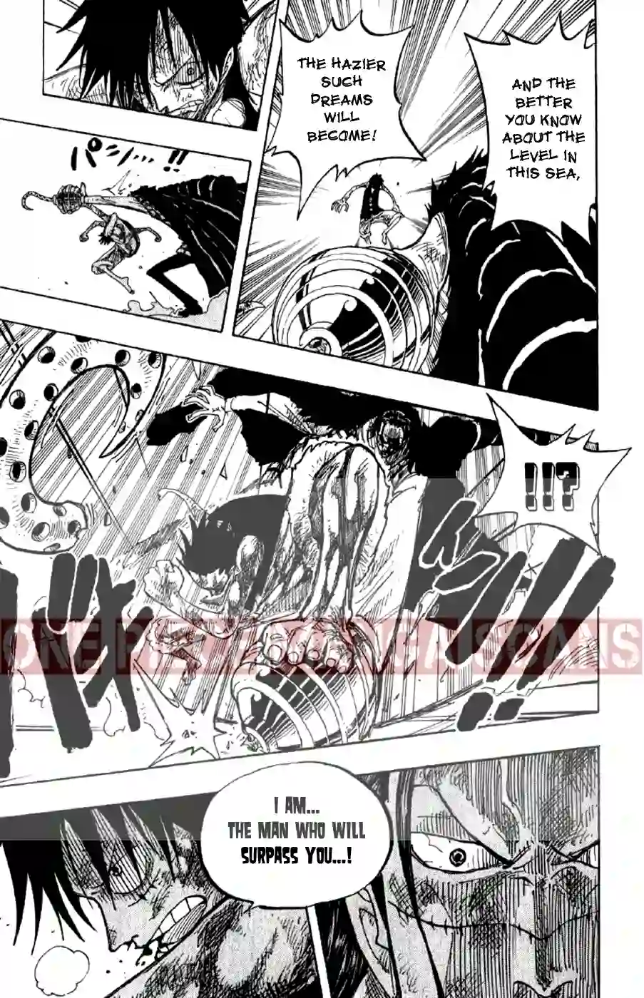 Chapter 208: Guardian Spirit 9 one-piece-chapter-208-8